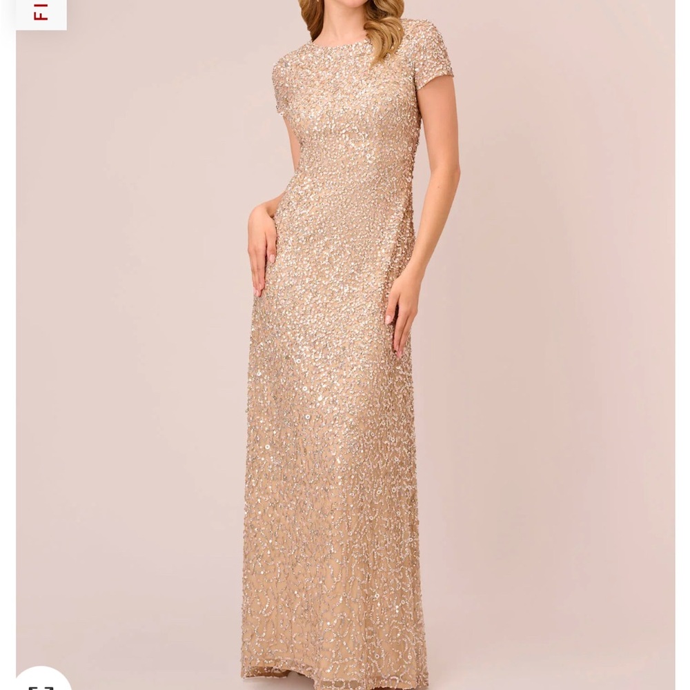 Adrianna Papell Scoop Back Sequin Gown In Champagne (Size 12)
